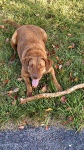 img_20161111_150322172_hdr